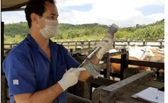 Diretor do Hospital Veterinário Universitário, Alonso Pereira