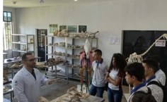 Estudantes do município de Pindoba conhecendo atividades do curso