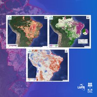 Em 20 anos, 40% da cobertura vegetal do País se tornaram degradadas