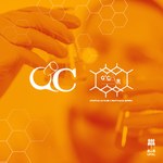 Grupos do Instituto de Química fazem parceria no Programa Futuras Cientistas