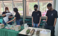 Engenharia Ambiental