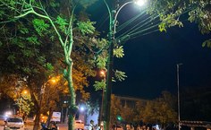 Rua principal do campus já com nova iluminação