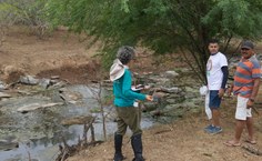 Plantas Comestíveis Não-convencionais (PANCs) foram catalogadas pela graduanda Gabriela Cota