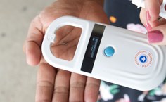 Nanochip implantado em espécies nativas de peixes como projeto-piloto