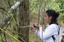 Equipe de Ecologia da UFPB avaliou matas ciliares e sub-bacias