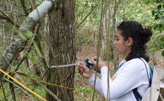 Equipe de Ecologia da UFPB avaliou matas ciliares e sub-bacias