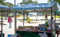 Fotos: Renner Boldrino