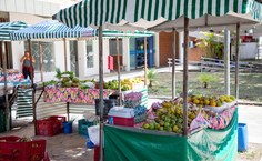 Fotos: Renner Boldrino