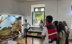 Fotos: Carlos Fernandes