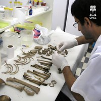 Laboratório de DNA Forense vai adquirir Sequenciador Genético