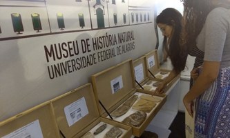 Museu de História Natural comemora 32 anos de história e conquistas