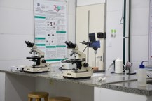 lab-ensenfar-foto_Renner_Boldrino_Ascom-ufal-5.jpg