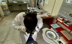 Registros fotográficos das peças ósseas durante a análise