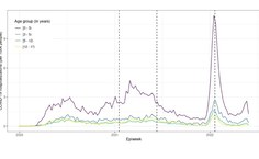 Taxas de hospitalização