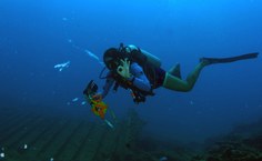 Professor Claudio Sampaio