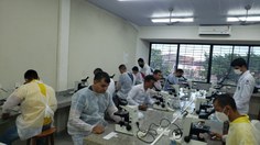 Atividades aconteceram no Laboratório de Microscopia do ICBS