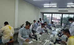 Atividades aconteceram no Laboratório de Microscopia do ICBS