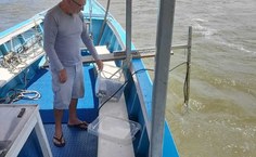 Paulo Petter monitorando o Rio São Francisco