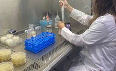 Alguns pesquisadores seguem por terra para garantir mais agilidade no processamento das amostras, a exemplo da Microbiologia do Pescado