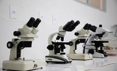 Agora, o laboratório dispões de salas distintas e adequadas para as áreas de microscopia; genotoxicidade, histopatologia, análises enzimáticas em peixes, dentre outras.