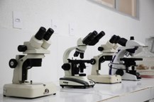 Agora, o laboratório dispões de salas distintas e adequadas para as áreas de microscopia; genotoxicidade, histopatologia, análises enzimáticas em peixes, dentre outras.