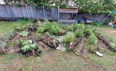 Projeto está na semifinal