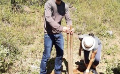 Atividade do projeto para a produção de adubos orgânicos por coleta seletiva doméstica