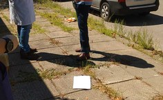 Trabalho do Grupequi continua