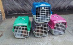 Trabalho do Grupequi continua