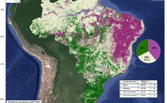 Mapa da biomassa vegetal no Brasil processado no QGIS