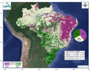 Mapa da biomassa vegetal no Brasil processado no QGIS