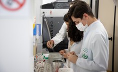 Pesquisadores que integram o laboratório do ICBS, coordenado pela professora Melissa Landel, descobriram novas espécies de fungos que foram nomeadas em homenagem aos locais em que foram encontradas, biomas típicos da região Nordeste