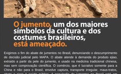 Cartaz de divulgação