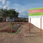 Projeto da fossa agroecológica na Escola Frei Damião