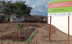 Projeto da fossa agroecológica na Escola Frei Damião