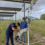 Projeto da Ufal capta energia solar e impulsiona produção da cana-de-açúcar