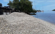 RedeMaris tem o objetivo de visibilizar o trabalho das marisqueiras