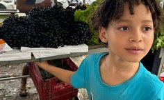 Colégio de Aplicação Telma Vitória promove passeio à Feira Agroecológica do HU