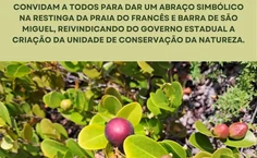 Representantes da Ufal vão participar de abraço simbólico em área de restinga