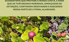 Representantes da Ufal vão participar de abraço simbólico em área de restinga