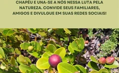 Representantes da Ufal vão participar de abraço simbólico em área de restinga