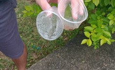 Previsão é de uma economia de 160.000 mil copos descartáveis somente no RU de Arapiraca