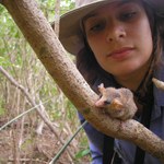Pequenos mamíferos da Caatinga sofrerão pelas mudanças climáticas