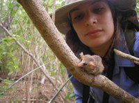 Pequenos mamíferos da Caatinga sofrerão pelas mudanças climáticas