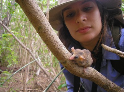 80% das espécies de pequenos mamíferos da Caatinga devem perder áreas climaticamente adequadas até 2070 | nothing