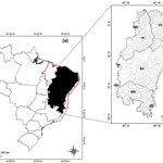 Estudo da Ufal revela que Brasil perdeu 55% de áreas do Agreste para o Semiárido