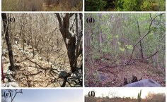 locais nos meses de maio e setembro de 2000