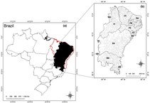 Localização da região do estudo no Brasil