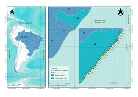 Ufal participa de maior estudo sobre microplásticos nas regiões costeiras