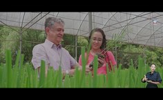 Imagem capturada do vídeo institucional